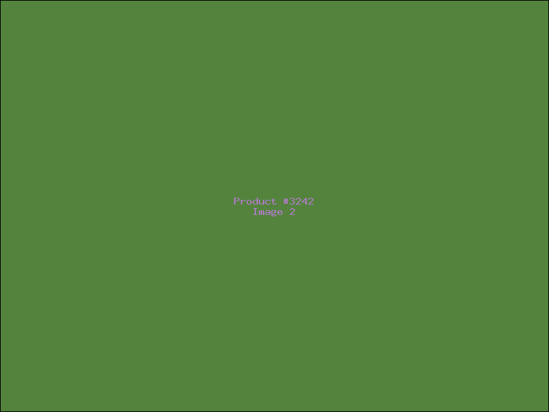 Example Product 3242 - Image 2