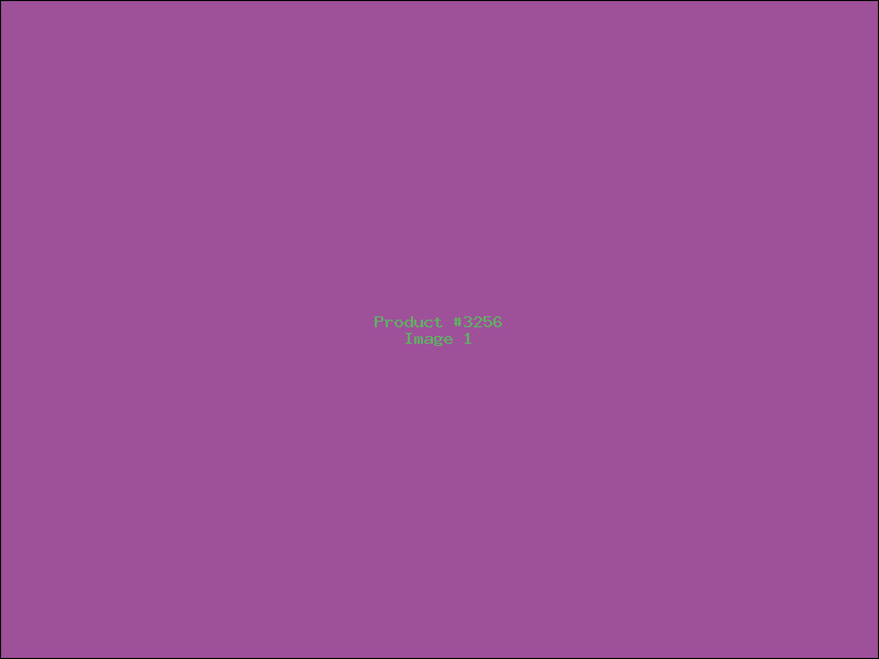 Example Product 3256
