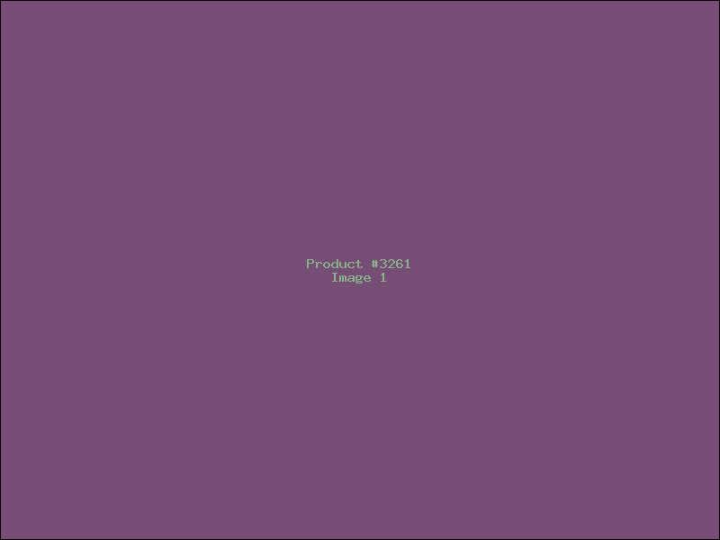 Example Product 3261