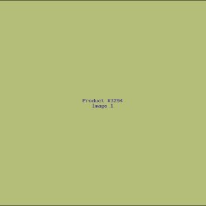 Example Product 3294
