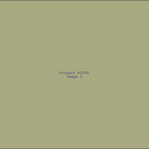 Example Product 3310