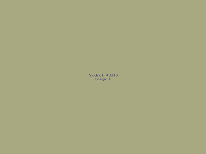 Example Product 3310