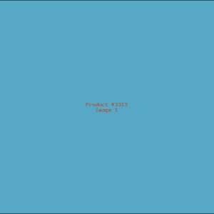 Example Product 3313