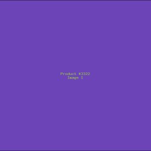 Example Product 3322