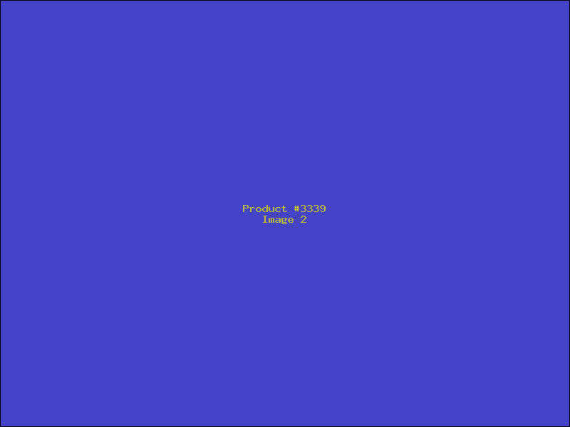 Example Product 3339 - Image 2