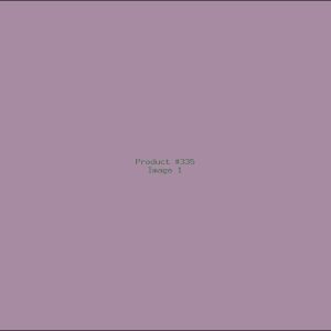 Example Product 335
