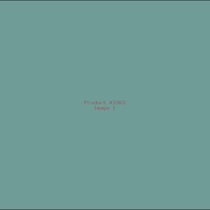 Example Product 3363