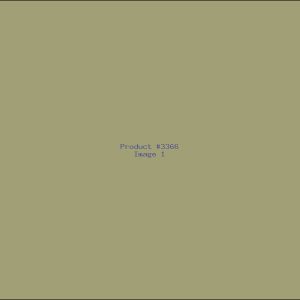 Example Product 3366