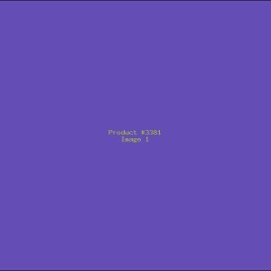 Example Product 3381