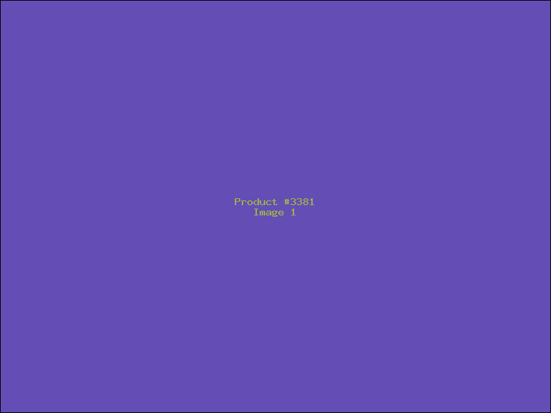 Example Product 3381