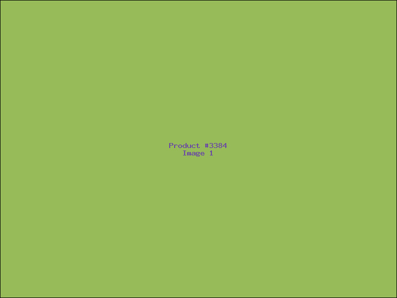 Example Product 3384