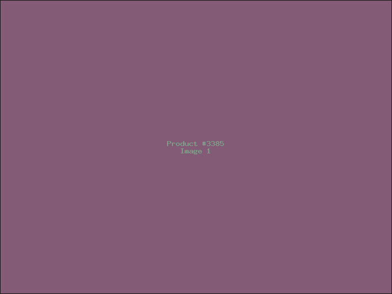 Example Product 3385
