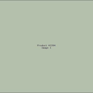 Example Product 3394