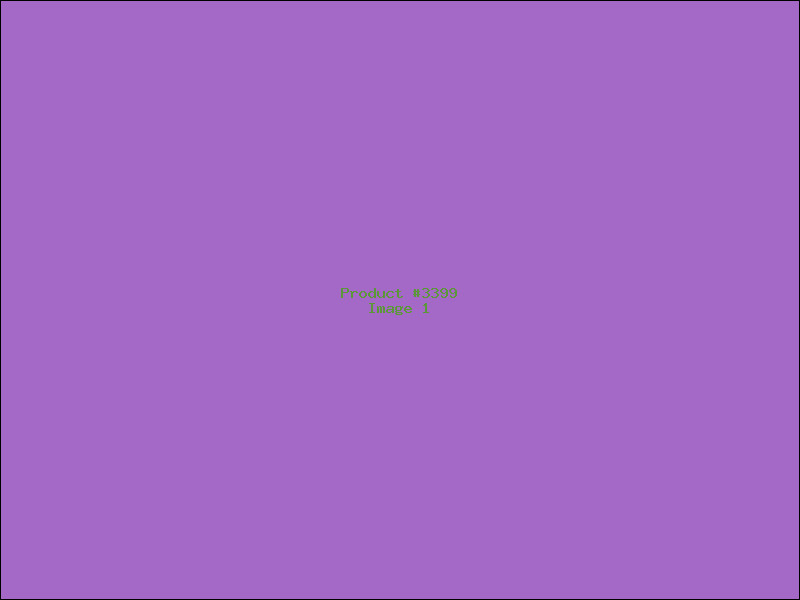 Example Product 3399