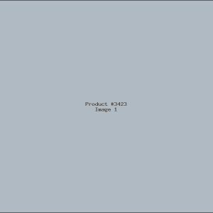 Example Product 3423