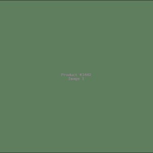 Example Product 3442