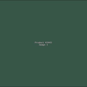 Example Product 3443