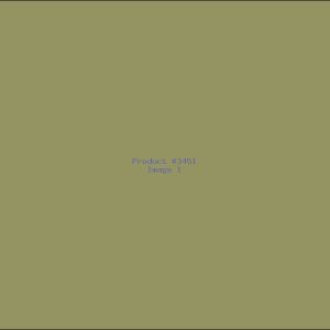 Example Product 3451