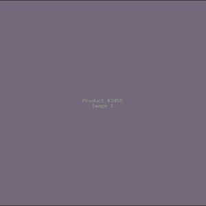 Example Product 3455