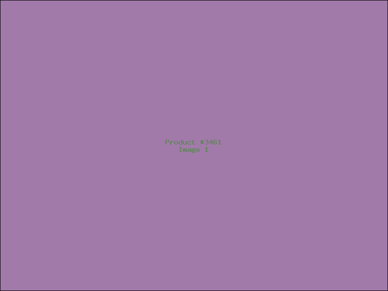Example Product 3461