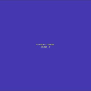 Example Product 3466