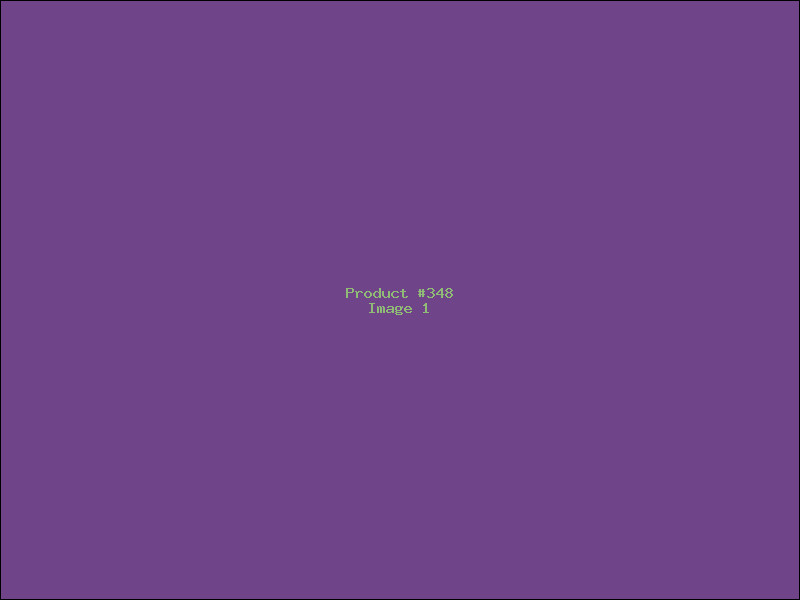 Example Product 348