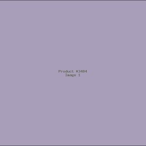 Example Product 3484