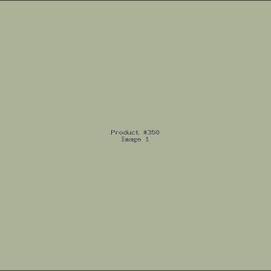 Example Product 350