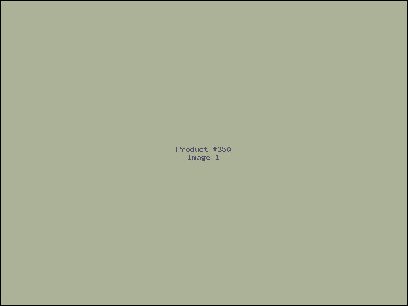 Example Product 350
