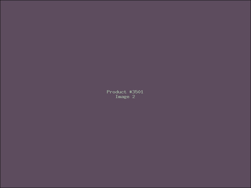 Example Product 3501 - Image 2