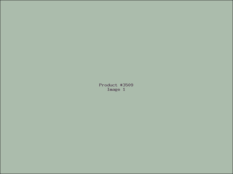 Example Product 3509
