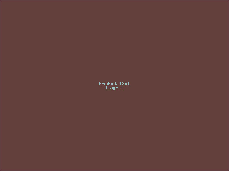 Example Product 351