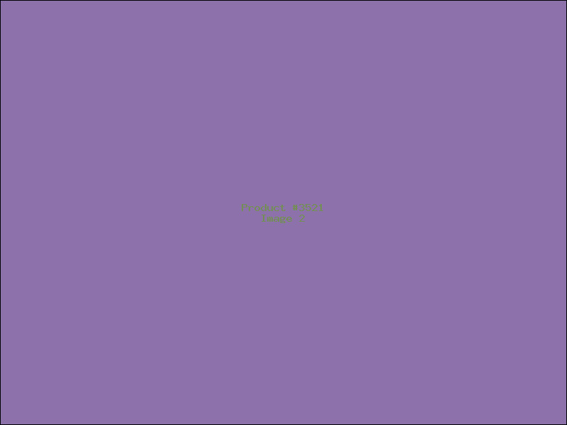 Example Product 3521 - Image 2