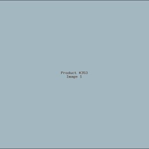 Example Product 353