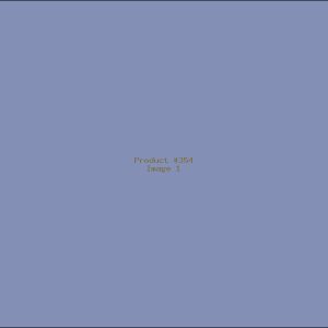 Example Product 354