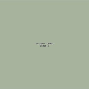 Example Product 3560