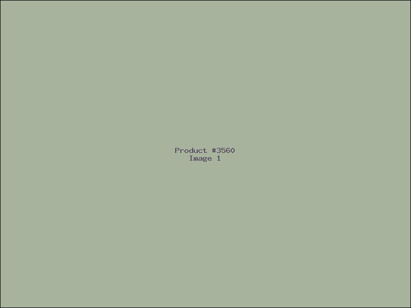 Example Product 3560