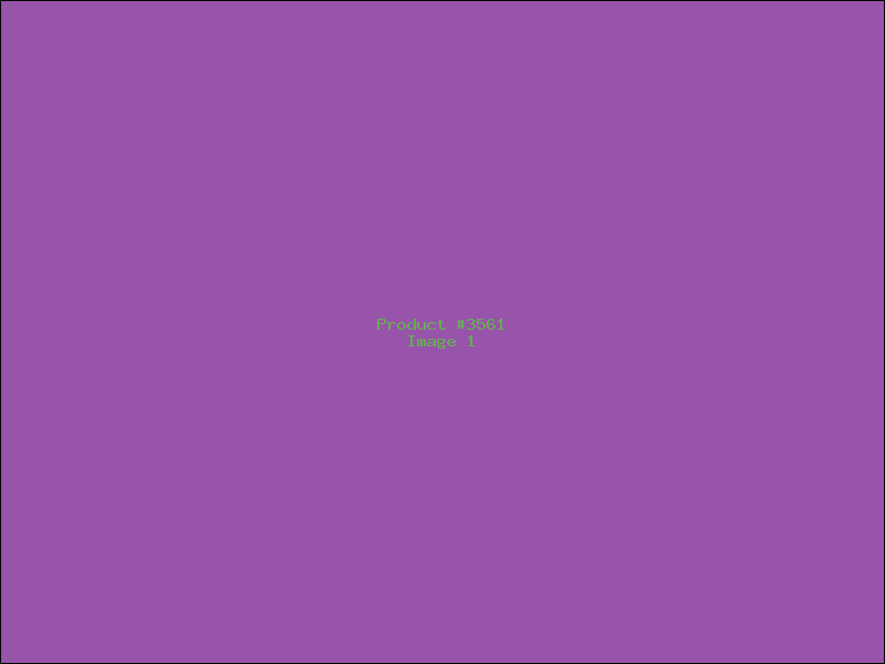 Example Product 3561