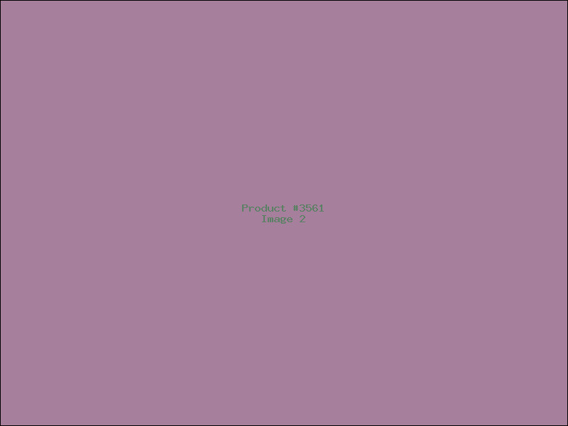 Example Product 3561 - Image 2