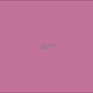 Example Product 3571