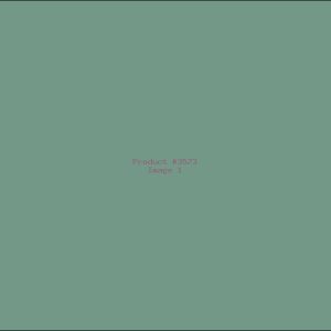 Example Product 3573