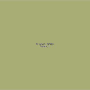 Example Product 3583