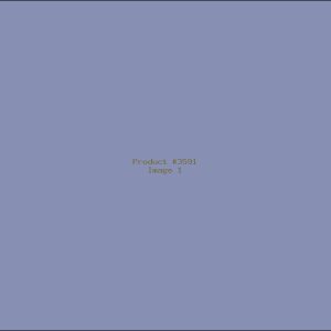 Example Product 3591