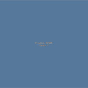 Example Product 3595