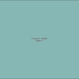 Example Product 3598