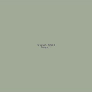 Example Product 3603