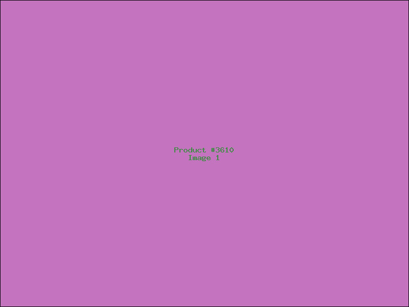 Example Product 3610
