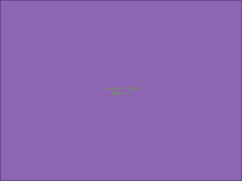 Example Product 3619