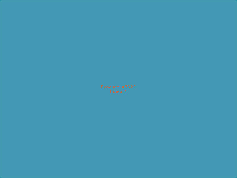 Example Product 3622