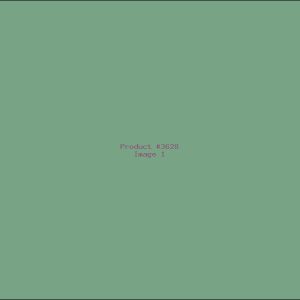 Example Product 3628